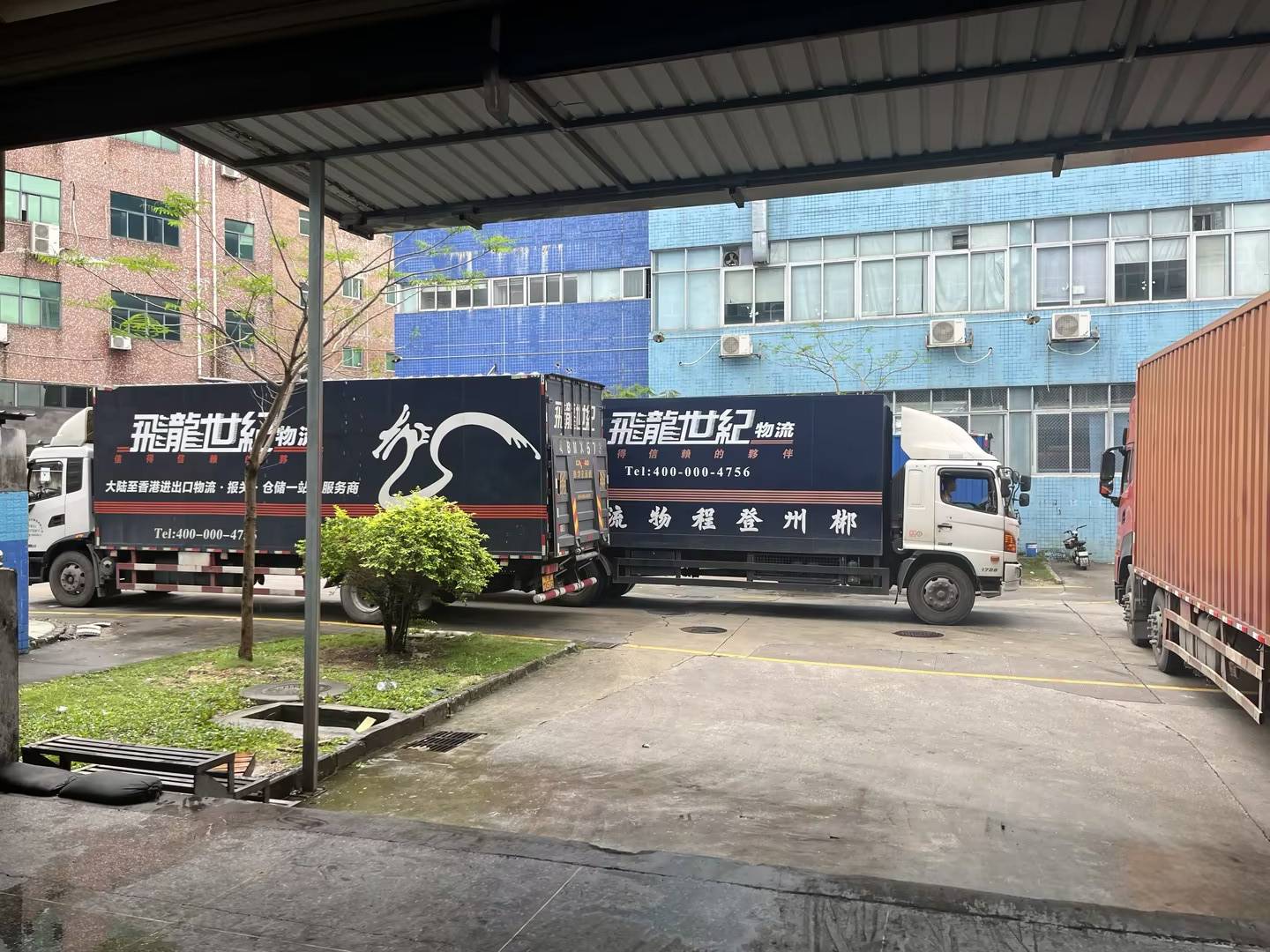 青春芳