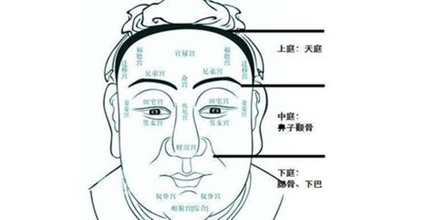 耳朵尖的面相運(yùn)勢優(yōu)點(diǎn)22條兩耳都比較尖:官運(yùn)亨通