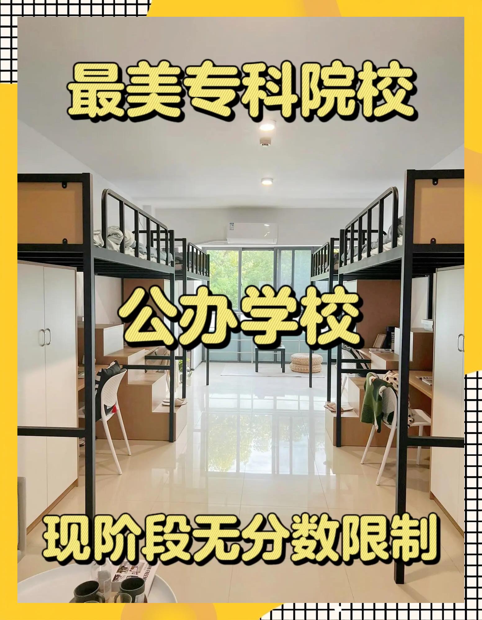 湛江寸金教育集團:大學專科層次教育,中專層次教育